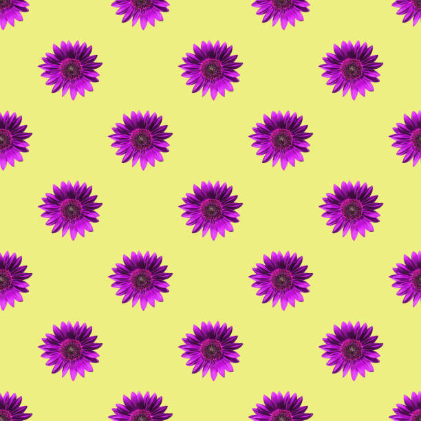 Violet flower buds seamless pattern. Pink flower heads blooming isolated on white pattern, pop art