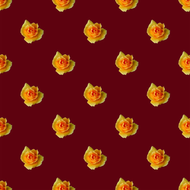 Seamless Pattern of Blossoming Yellow Rose on Grape Purple Colored Background