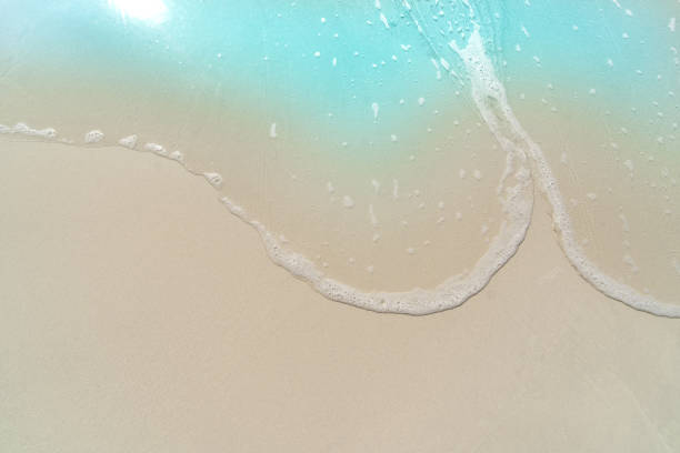 istock beautifully sand beach, closeup, top view 2200533013