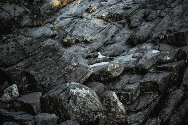 Natural rock formations with small pools of water, surrounded by plants, evoking a quiet and earthy ambiance.