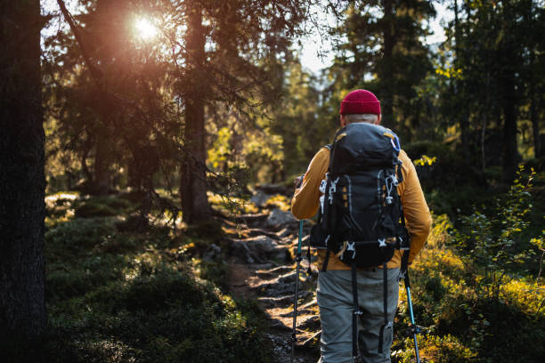 istock Person hiking through a forest trail with trekking poles and backpack 2200543724