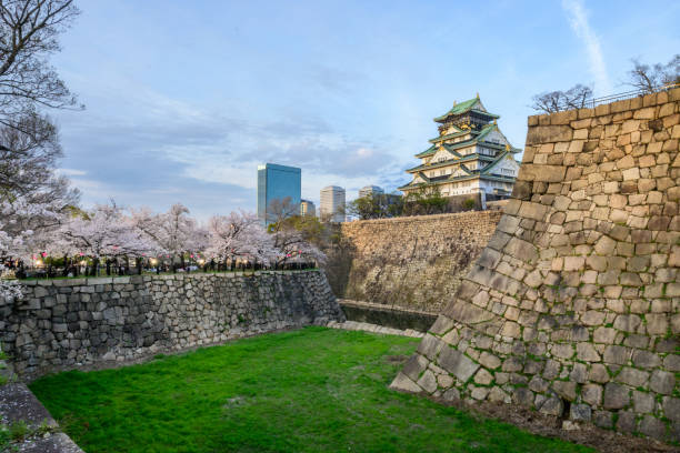 Osaka, Japan - April 7, 2024: Osaka Castle, rebuilt in 16th century, Its stone walls, a testament to its history, are framed by vibrant cherry blossoms, creating a breathtaking spring scene.