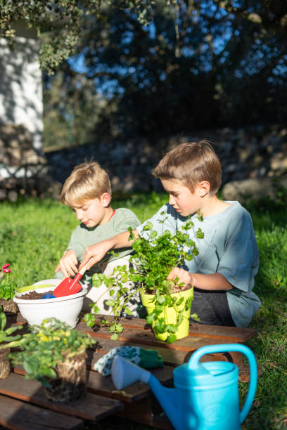 istock Two boys gardening together, learning and growing 2200548938