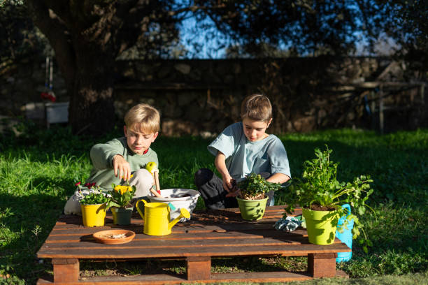 Two brothers are repotting plants in the garden