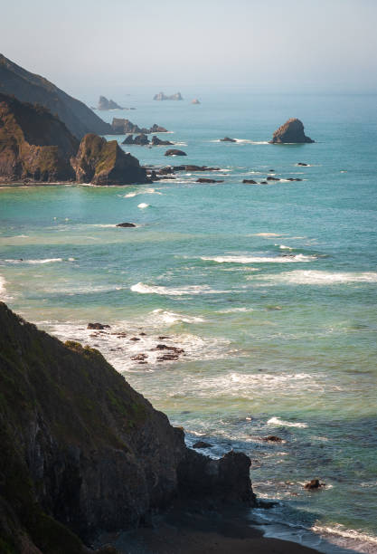istock The Pacific Coast at Redwood National Park 2200549489