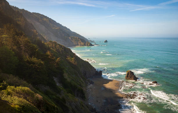 istock The Pacific Coast at Redwood National Park 2200549518