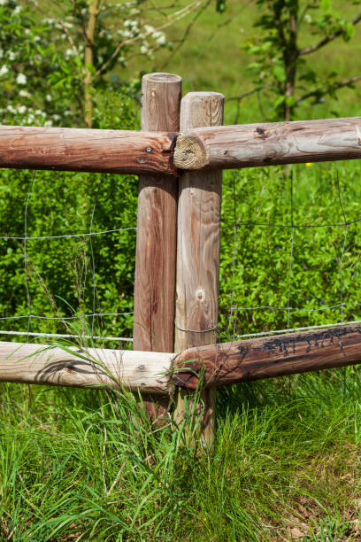 istock Wooden willow fence in spring, Germany 2200550924