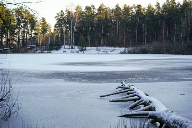 istock Winter Stillness: Frozen Pond in a Latvian Forest. 2200553188