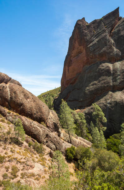istock Cliff Face at Pinnacles National Park 2200553928