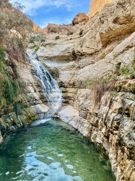 istock Serene Natural Pool at David’s Oasis, Ein Gedi 2200557564