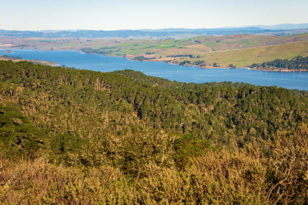 Point Reyes National Seashore in California