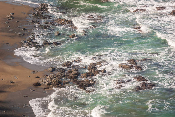 istock The Pacific Coast at Redwood National Park 2200564216