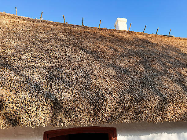 Thatched roof top texture. Suitable for background