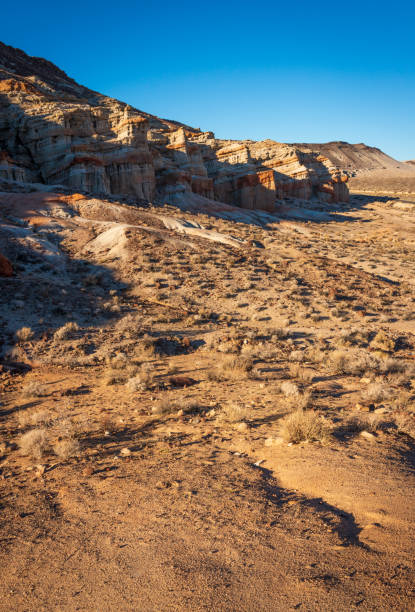 istock Clear Day at Red Rock Canyon State Park 2200570920