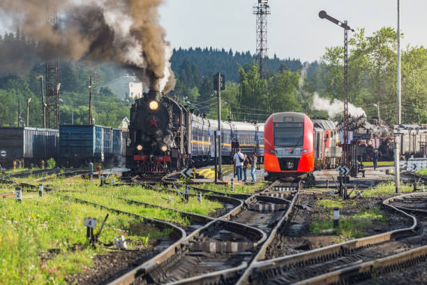 A large, black, vintage steam train with multiple passenger cars travels along a set of railway tracks through a forested, hilly area under an overcast sky. This image evokes feelings of nostalgia, the romance of historical travel, and the enduring power of classic engineering.