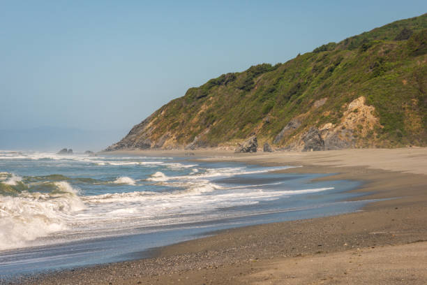 istock The Pacific Coast at Redwood National Park 2200572472