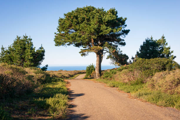 Point Reyes National Seashore in California