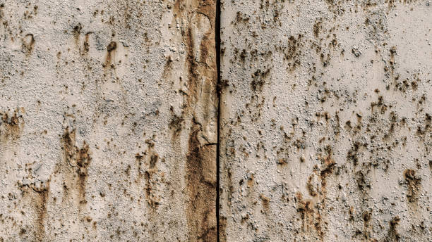 istock texture of a gray painted metal surface with rust 2200573320
