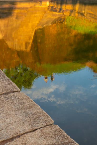 Beautiful pond scenery at dawn