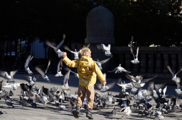 Smiling adorable Caucasian teen boy, expressing positive emotions while feeding rock pigeons and feral doves in the urban square. The concept of people, nature and kindness for animals