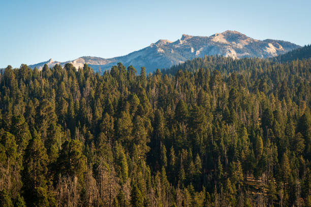 istock Moro Rock at Sequoia National Park 2200575793