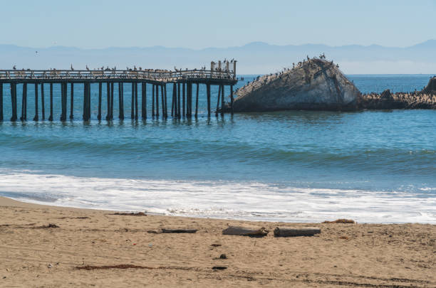 Sea Cliff State Beach in Aptos, California