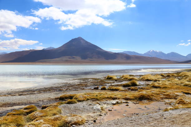 istock Lake in middle Atacama desert 2200590561