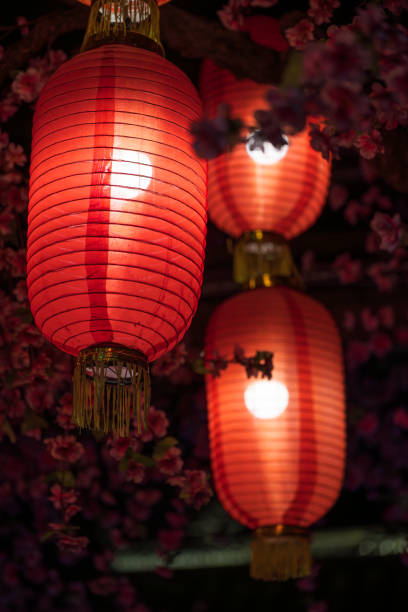 istock Red Chinese Lanterns and Blossom Tree at night 2200591089