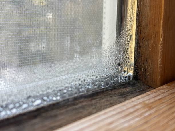 Condensation on the Interior of a Home Window