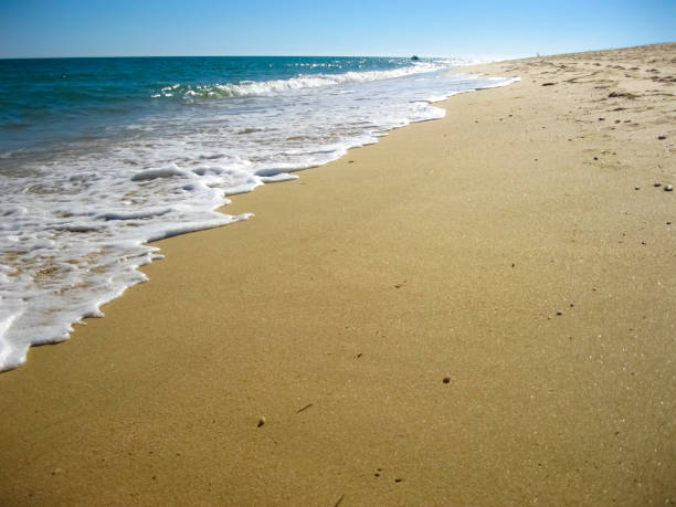 istock A scenic sandy beach where waves are crashing on the shore 2200608116