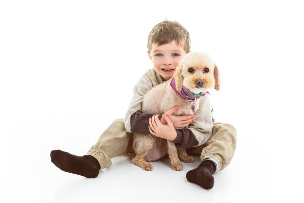 A 6 years Child boy on studio white background with doodle dog
