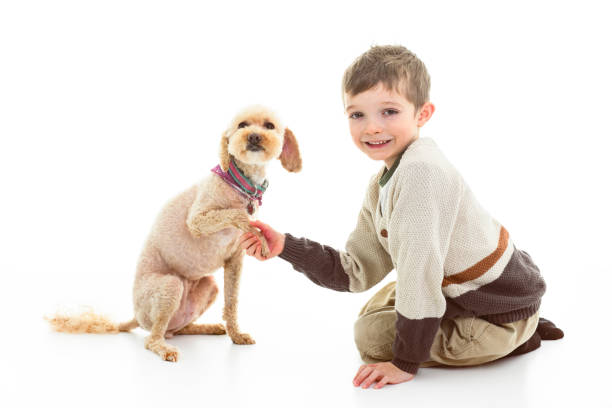 A 6 years Child boy on studio white background with doodle dog