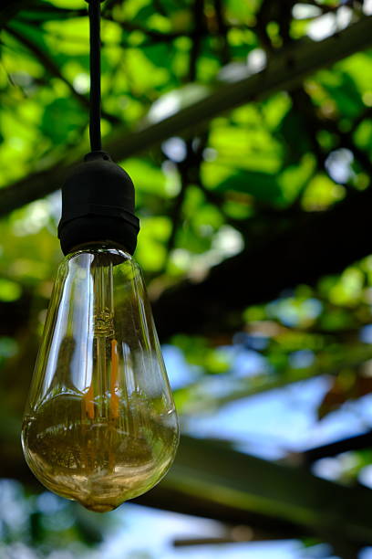 istock artistic glass chandeliers hanging on garden 2200614033