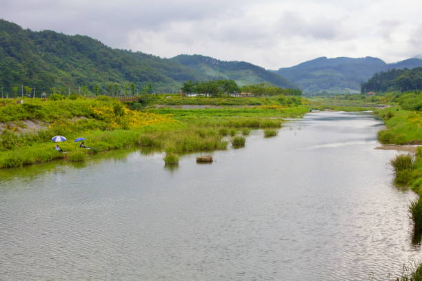 Fishing Along Seonghwang Stream