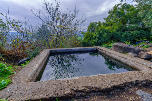 istock Ein Aya Spring, in the Golan Heights 2200618652