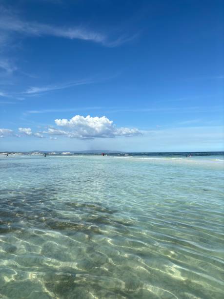 istock Serene Dumaluan Beach with Crystal Clear Waters – Bohol, Philippines 2200619647