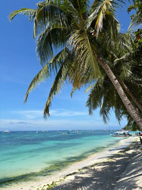 istock Pristine White Sand Beach with Turquoise Waters – Philippines 2200619713