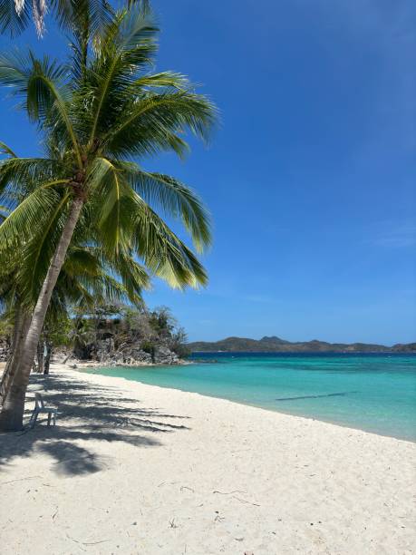 istock Pristine White Sand Beach with Turquoise Waters – Philippines 2200620240