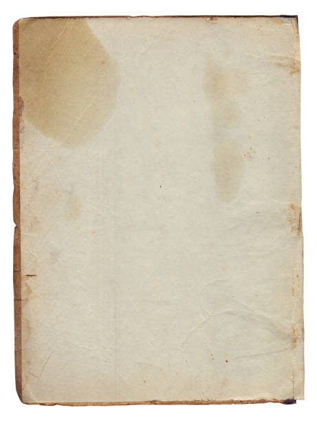istock Vintage background of old ancient torn paper texture isolated 2200621328