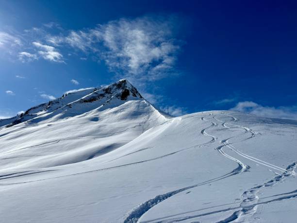 istock Ski tracks in fresh powder snow 2200628019