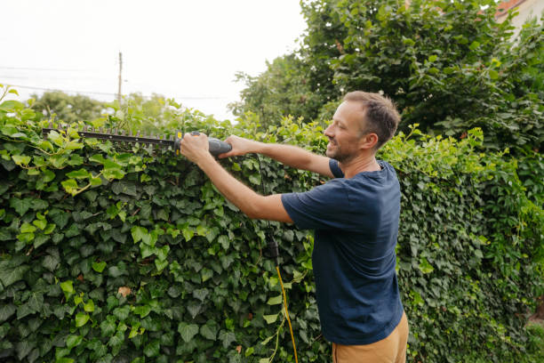 istock Mid-adult man is trimming the hedge 2200628031