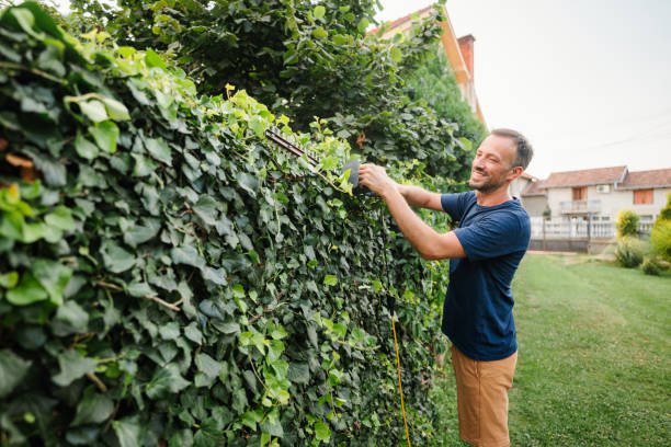 istock Mid-adult man is trimming the hedge 2200628553