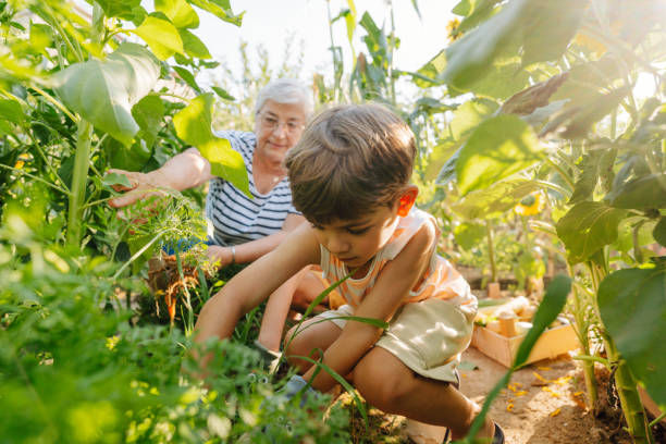 istock With grandma in our organic garden 2200629325