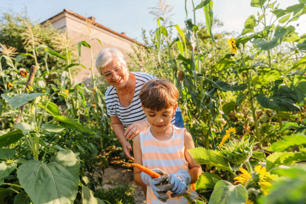 istock With grandma in our organic garden 2200629336