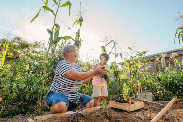 istock Planting herbs with my grandson 2200629443