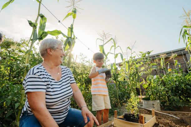 istock Planting herbs with my grandson 2200629444