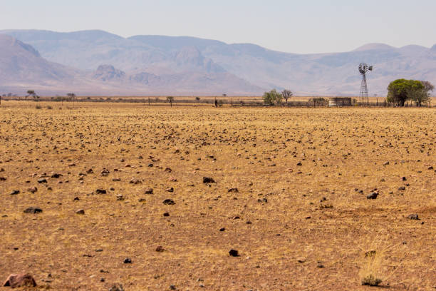 Barren rock scattered plain with a windmill in the distance, on a farm in Namibia.