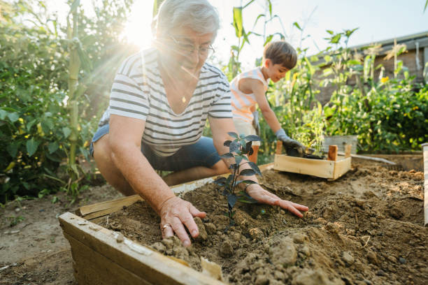 istock Planting herbs with my grandson 2200632817