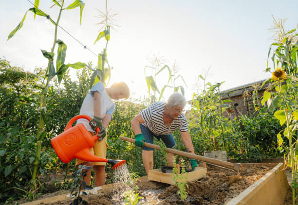 istock Planting herbs with my grandson 2200632843