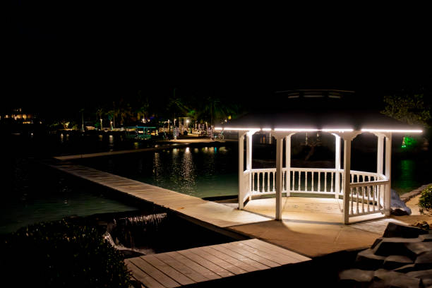 Modern designed exterior with infinity pool evening scene at summer. (3d render)